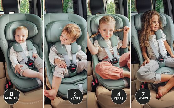 Max-Safe Pro Lux - Urban Olive мініатюра 3