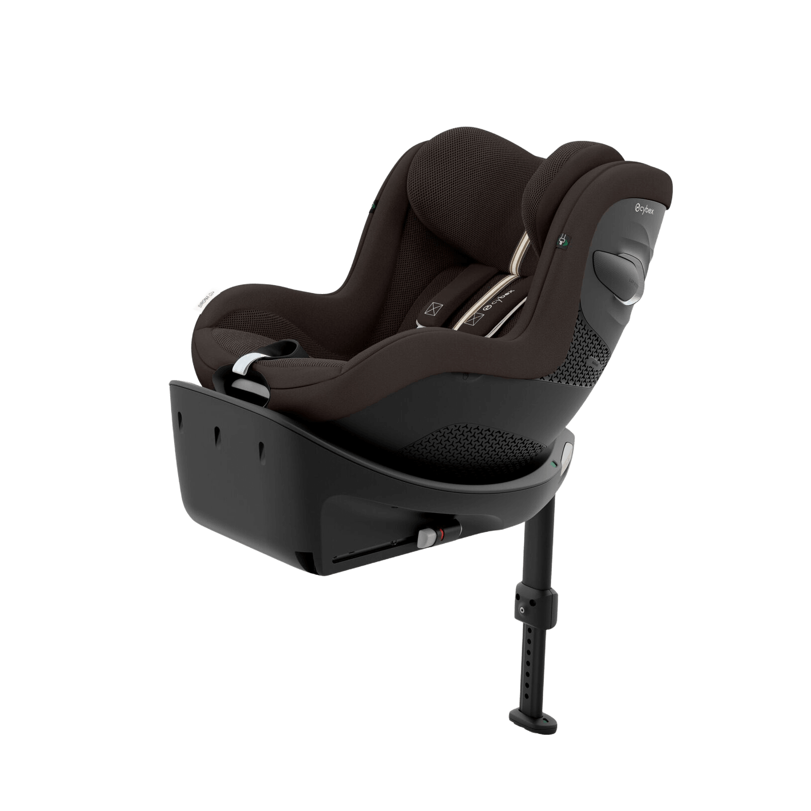 Chocolate Brown
