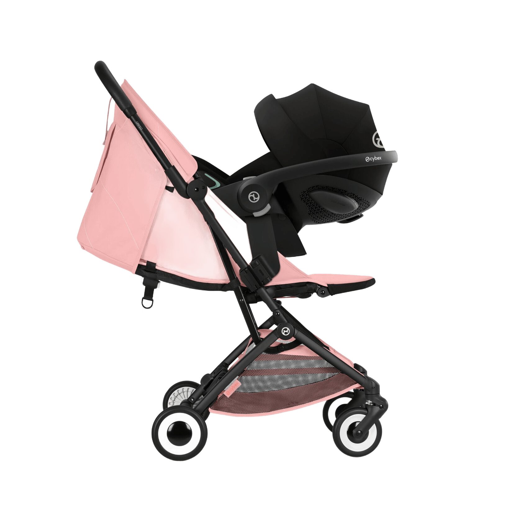 Orfeo BLK - Candy Pink thumbnail 2